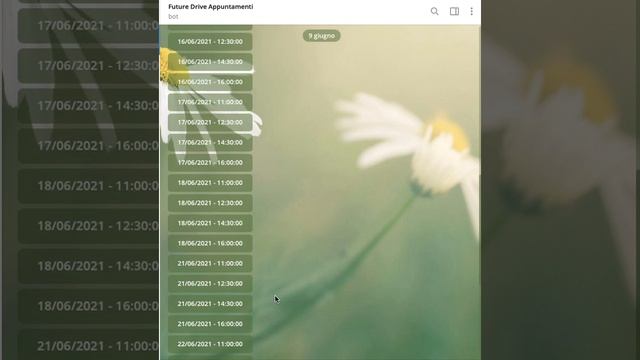 Telegram Bot Calendar Reservation CRM ERP Lolli Group