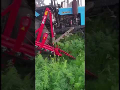 УБОРКА МОРКОВИ КОМБАЙНОМ