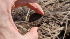 Снова в полях ищу старинные монеты с equinox 700.