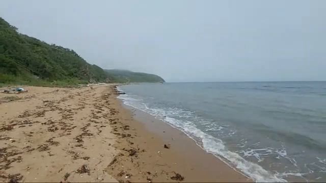 Лазурный берег,Шамора Владивосток