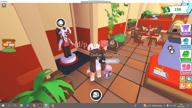 БАГ НА ДЕНЬГИ В ADOPT ME?!! Сколько можно заработать денег в ADOPT ME за пол часа?? смотреть онлайн