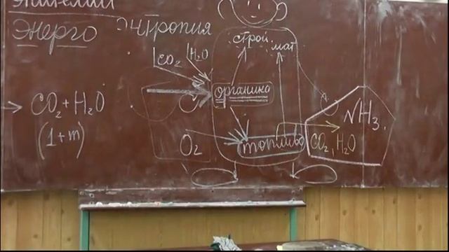 37 Энтропия, обмен веществ, потовые и сальные железы
