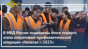 В МВД России подведены итоги первого этапа оперативно-профилактической операции «Нелегал – 2023»