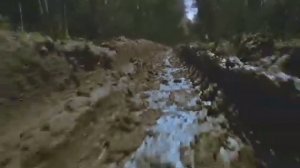 Путь на Голгофу. Царь Николай Второй.