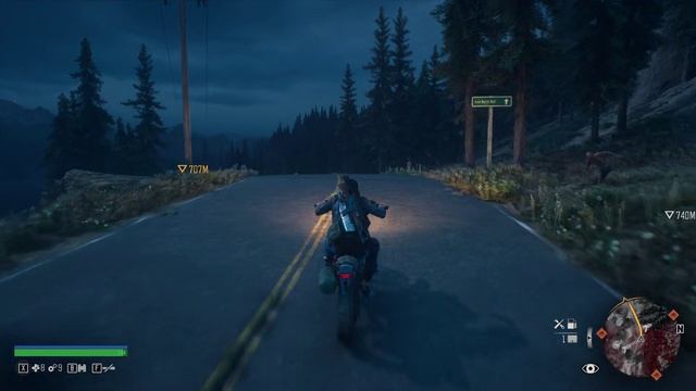 Days Gone 7