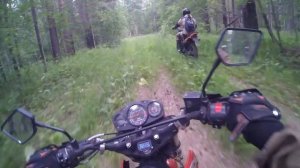РЕЙСЕР РЕИНДЖЕР 200 ПАТРОН 150 СТЕЛС 250 РЕЙСЕР ФОРЕСТЕР 200 ЛЕС ЭНДУРО 1