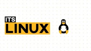 LOGO Animation of Its Linux Foss | Picasso Animations | Motion Graphics | Portfolio | After Effects