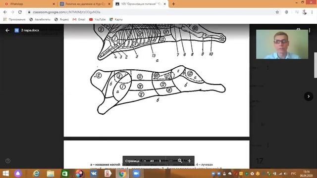 "Технология приготовления пищи".Преподаватель Крюков Е.В.Тема: "Кулинарная обработка говяжьей туши"