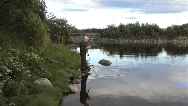 НА "ТИРОЛЬСКУЮ ПАЛОЧКУ" В РЕКЕ С МОРСКОЙ РЫБОЙ / ON THE "TYROLEAN WAND" IN THE RIVER смотреть онлайн