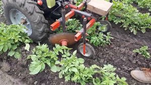 Окучивание картофеля .