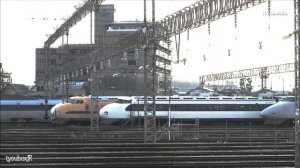 amazing different Shinkansen trains