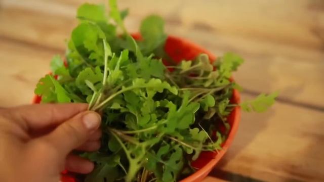 Первый урожай капусты пак-чой с высокий грядки! смотреть онлайн