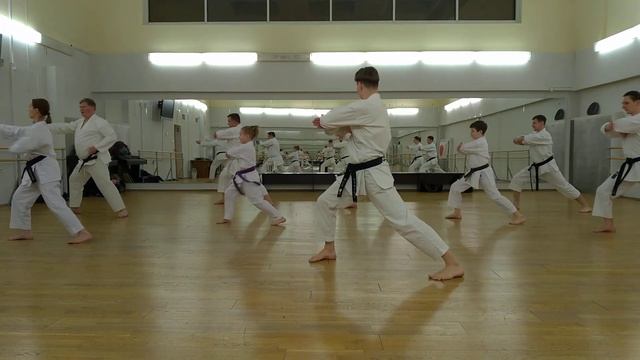 Heian Yondan / Хэйан Йондан медленно под счёт с комментариями смотреть онлайн