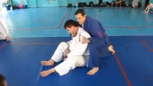 Семинар джиу джитсу дзю дзюцу 17/27 смотреть онлайн