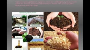 Виды почв для посадки. Как отличить, как удобрить