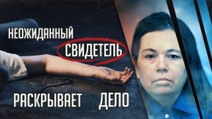 Неожиданный свидетель помог раскрыть дело