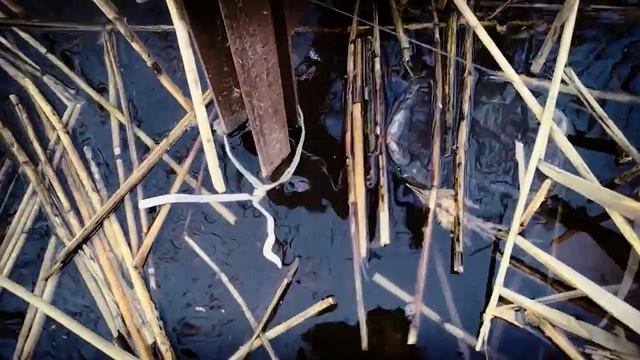 Мост из старых покрышек смотреть онлайн