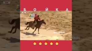 Бойка и Манас Ниязов лучшие друзя