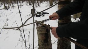 Нож в работе компании "Витязь""Сом-2",миф и реальность.Часть#1 ознакомительная.