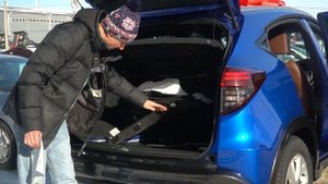 HONDA CIVIC В КУЗОВЕ HONDA VEZEL? HONDA VEZEL TOURING 172 Л.С