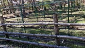 Турбаза Архангельская слобода, Ульяновск. Отрывок.