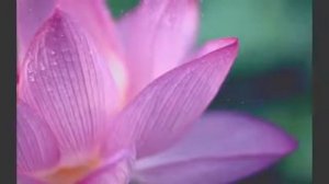 И пусть любовь наполнит вас! Мантра радости,открывающая канал Любви.