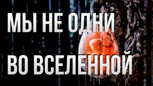 Звёзды - Фракция паразитов