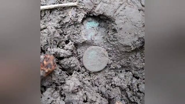 Коп во Владимирской области. Где покопать в Петушинском районе?