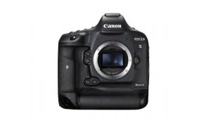 The Canon EOS-1D X Mark II Digital Single Lens Reflex Camera - As if my soul calls out to you...