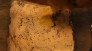 ВКУСНЕЙШЕЕ ДОМАШНЕЕ  ПЕЧЕНЬЕ СО ЗЛАКАМИ - РЕЦЕПТ. ПЕЧЕНЬЕ КРЕКЕРЫ.