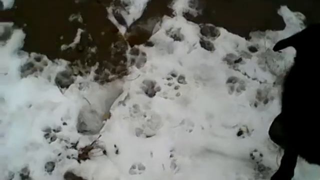 я люблю колбаску что так мало