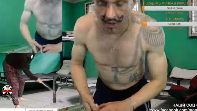 АНДРЮХА ЩАДИЛО ЗАБИЛ МОПСА ЖЕСТЬ НА СТРИМЕ МОПС ПЛАЧЕТ КОЛА МЕНТОС смотреть онлайн