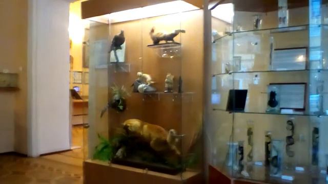 Музей гигиены Санкт Петербург смотреть онлайн