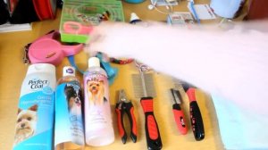 что нужно для щенка |что нужно йорку |йоркширский терьер |Настя Подколзина