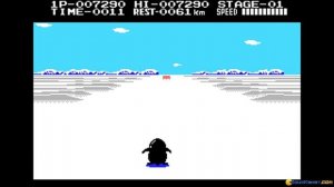 Antarctic Adventure gameplay (PC Game, 1984)