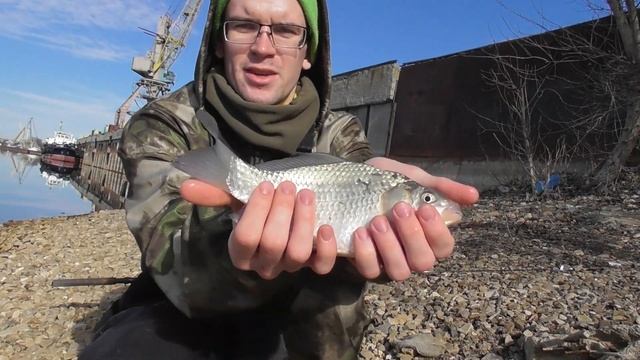 Секретная снасть на карася // Бодрое открытие Сезона 2020 // Ловим Фидером на Дону смотреть онлайн