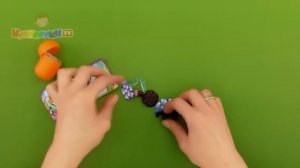 Феи Дисней Загадка пиратского острова, Киндер Сюрприз (Disney Fairies 2014)