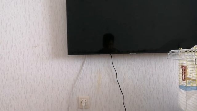 Televizyon ağ bağlantısı sorunu смотреть онлайн