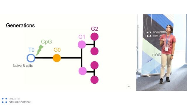 Почему Б-клетки такие разные? | Илария Тарасова смотреть онлайн