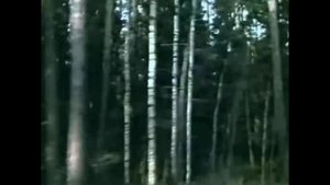 Ильхам Шакиров «Сэфэр»