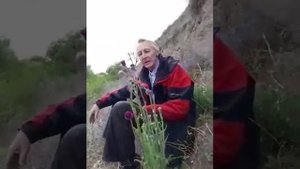 Чертополох. Растение-оберег!!! Потомственный травник Николай Борисенко!