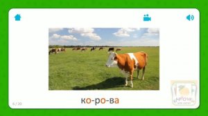 Корова - Карточки Для Детей - Домашние Животные - Карточки Домана