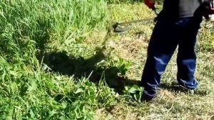 Мотокоса (бензокоса) IKRA Mogatec BF 25