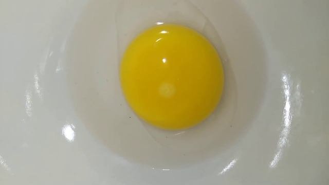Как определить оплодотворенное ?яйцо или нет?.