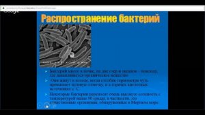 ЕГЭ по биологии 11 класс Занятие №14 Группа прокариоты. Царство бактерии, особенности строения