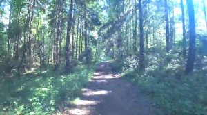 Московская область. Усадьба Абрамцево. Хотьково. Софрино. Подмосковье. Путешествия по России