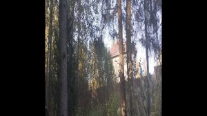 Работа челюстями