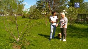 Дачные советы: сколько грядок оставить на даче