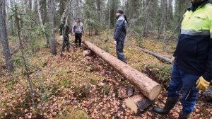 Строим баню в лесу. Начало стройки. Серия 1. Добрые походы.