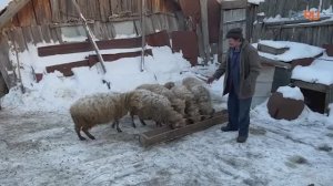Робинзон из Ульяновской области: пенсионер живет один в заброшенной деревне